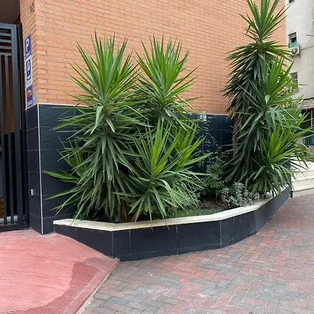 Apartament Nemis In The Centre Of Four Free Parking