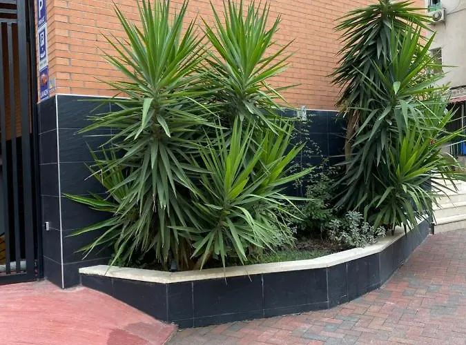 Apartment Nemis In The Centre Of Four Free Parking