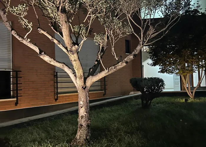 Apartment Nemis In The Centre Of Four Free Parking